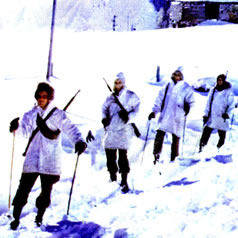 Panzer Grenadier Headquarters Library