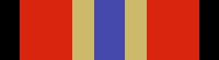 Winter Soldiers Tour of Duty Ribbon