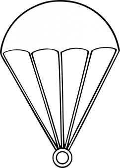 formation insignia