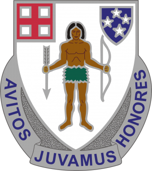 formation insignia