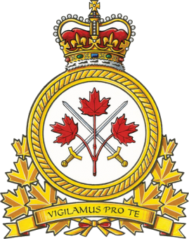 formation insignia