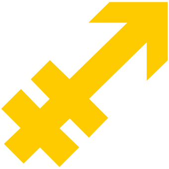 formation insignia