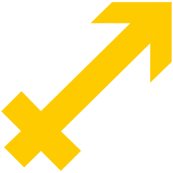 formation insignia