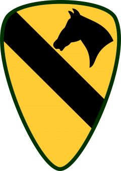 formation insignia