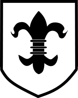 formation insignia