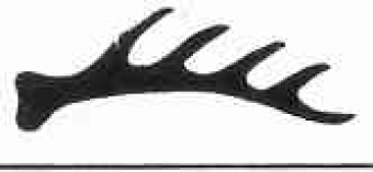 formation insignia