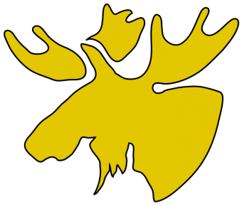 formation insignia