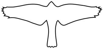 formation insignia
