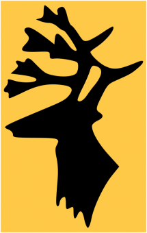 formation insignia