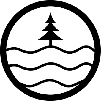 formation insignia