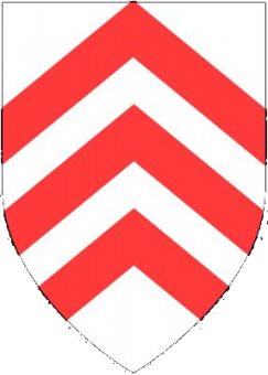 formation insignia