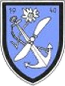 formation insignia