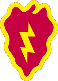 formation insignia