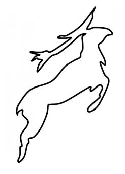 formation insignia