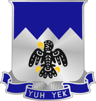formation insignia