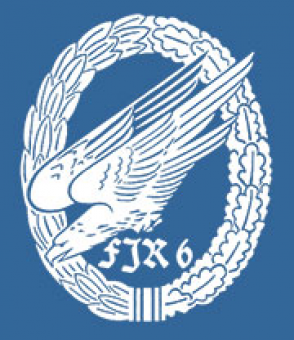 formation insignia