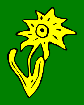 formation insignia
