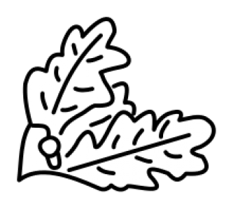formation insignia