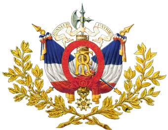 formation insignia