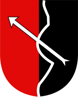 formation insignia