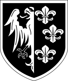 formation insignia