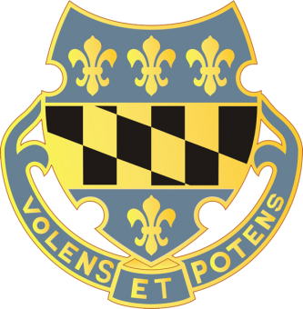 formation insignia