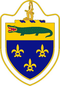 formation insignia