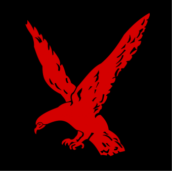 formation insignia