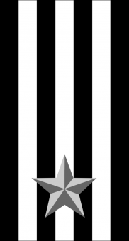 formation insignia