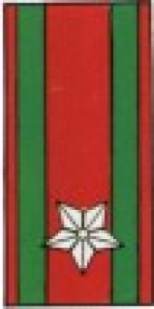 formation insignia