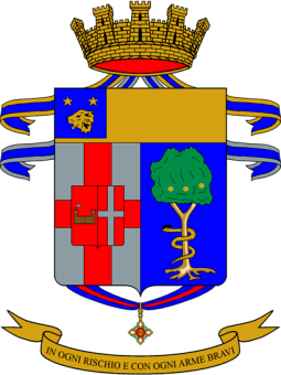 formation insignia