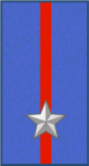 formation insignia