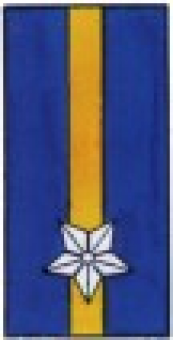 formation insignia