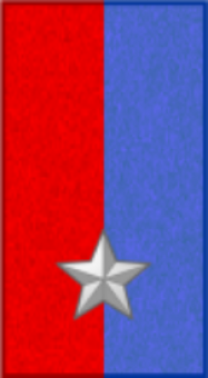 formation insignia