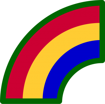 formation insignia