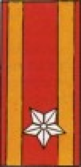 formation insignia