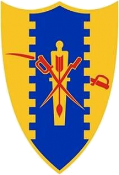 formation insignia