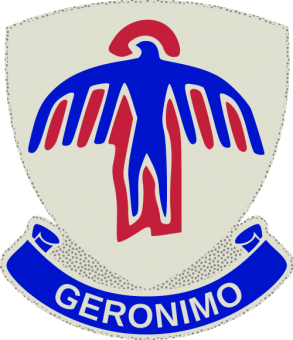 formation insignia
