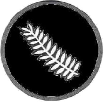 formation insignia