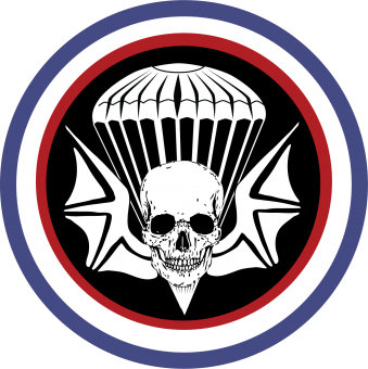 formation insignia