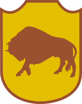 formation insignia