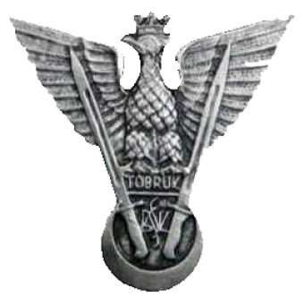 formation insignia