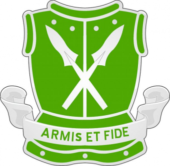 formation insignia