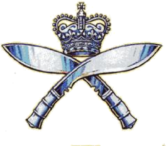 formation insignia