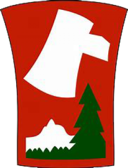 formation insignia