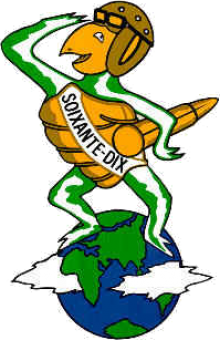formation insignia