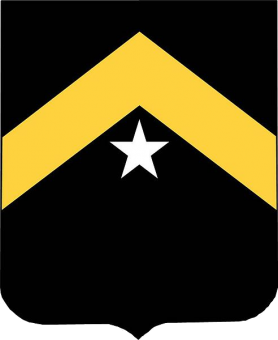 formation insignia