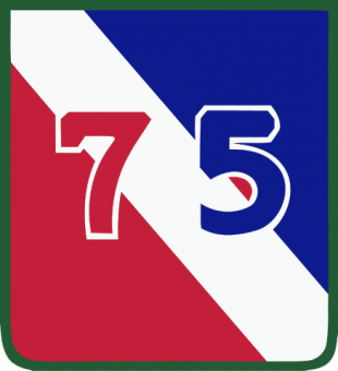 formation insignia