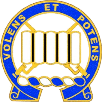 formation insignia