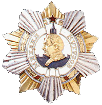 formation insignia